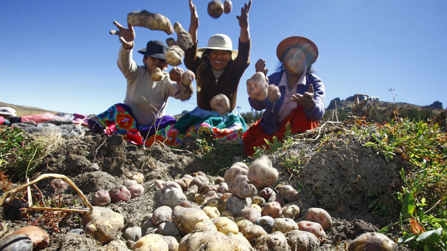 Gobierno activa reglamento de la Ley Nº 31339 y crea el COMPEAGRO para industrializar el agro Revista Industria Alimentaria
